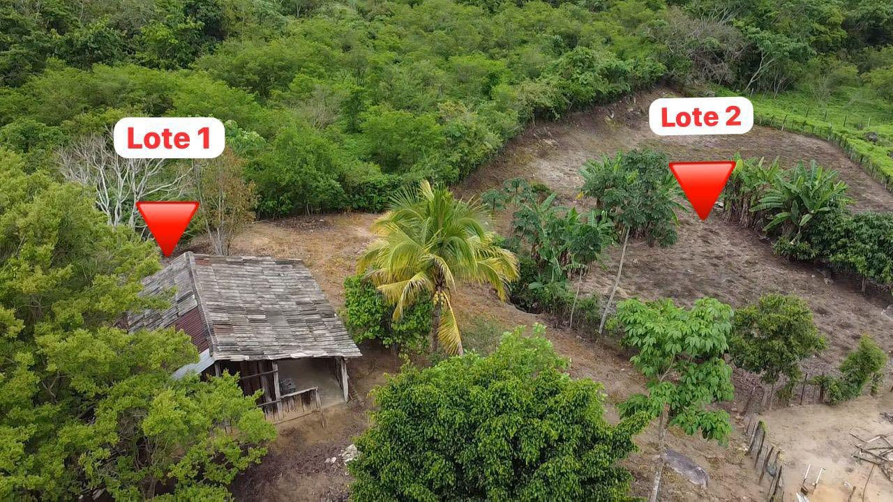 Las Juntas y Los Veranos Lote 1 y 2