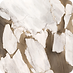 P_Bronz.png