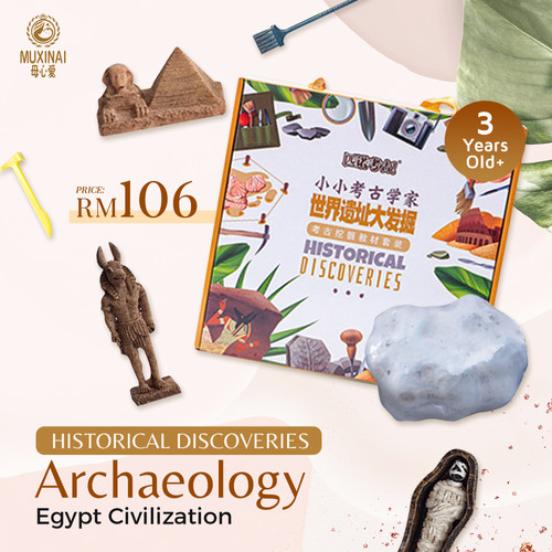 Archaeology Toy