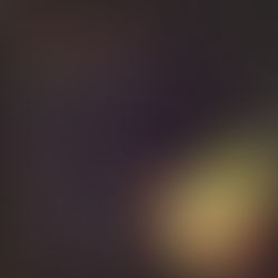 AUGIE HAAS, Dream a Little Dream