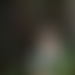 ELYNNE REY, The Birdsongs Project