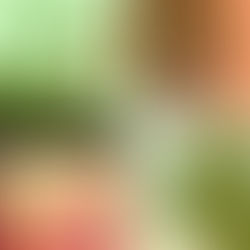 DOUG MacDONALD QUARTET, Organisms