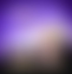 DEBORAH SHULMAN, The Shakespeare Project