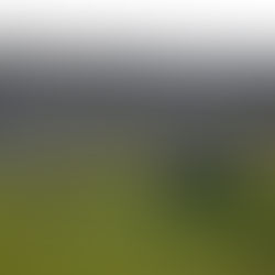 MAN ON LAND, Echo the Hills