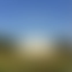 STEPHEN CHOPEK, Dweller