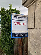 IMG_8096.jpeg