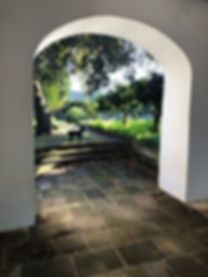 IMG_3004.jpeg