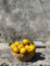 IMG_8513.jpeg