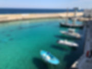 IMG_8784.jpeg