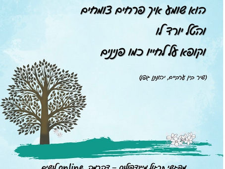 איך פרחים צומחים?