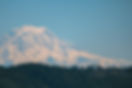 IMG_9798.JPG