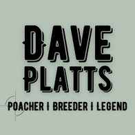 Dave Platts logo green.png