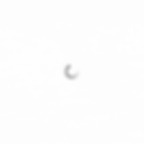 Loading_Image.gif