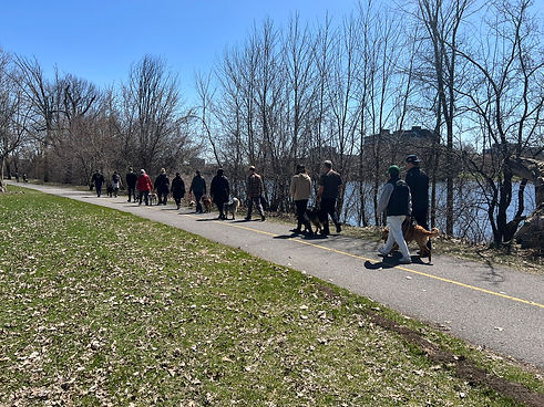 PACK WALK HERO IMAGE.JPEG