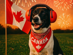 Fireworks & your Dog: Why Canada Day Is a Dog Owner's Wake-Up Call
