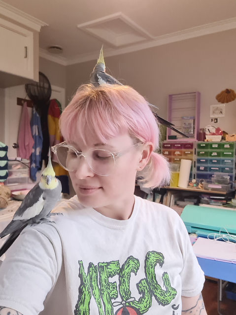 Wellington Bird Rescue, Bird Hospital, Bird Rescue Wellington, Birdcare Wellington, Bird Boarding, Flock Birdcare, Bird sitting, Bird rehabilitation 
