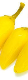 Chile Pepperoncini