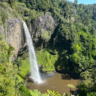 A slim waterfall rushed over a cliff into a small pool at the bottom of a mossy rock face.