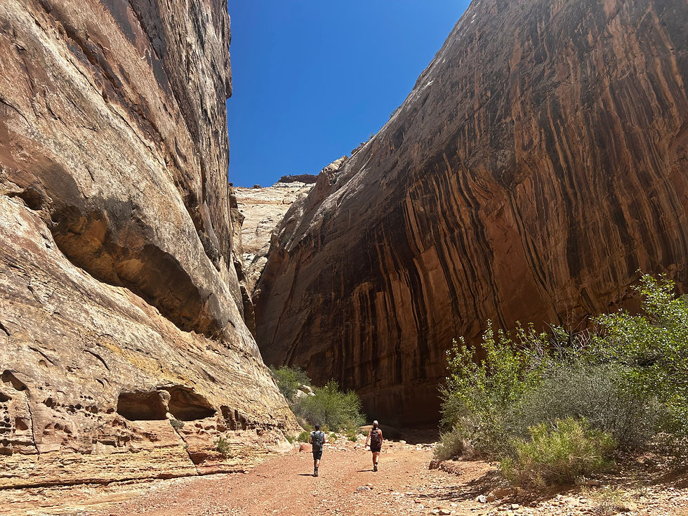 A thin hiking trail winds between two large rock faces.