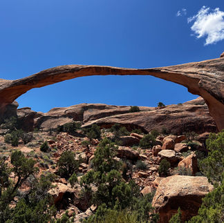 One large, thin rock arch formation stretches across a desert landscape.