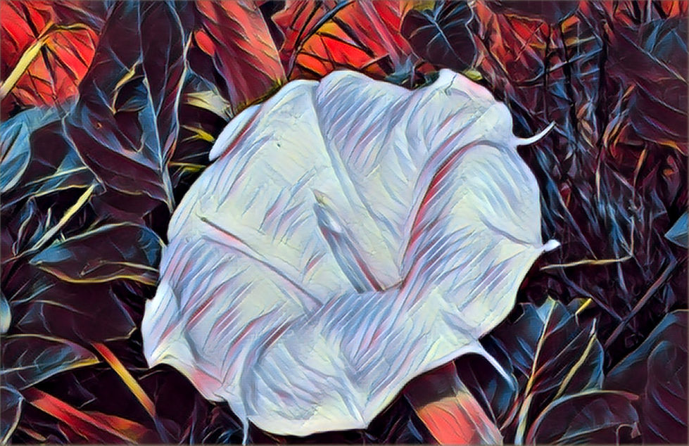 Photo Art