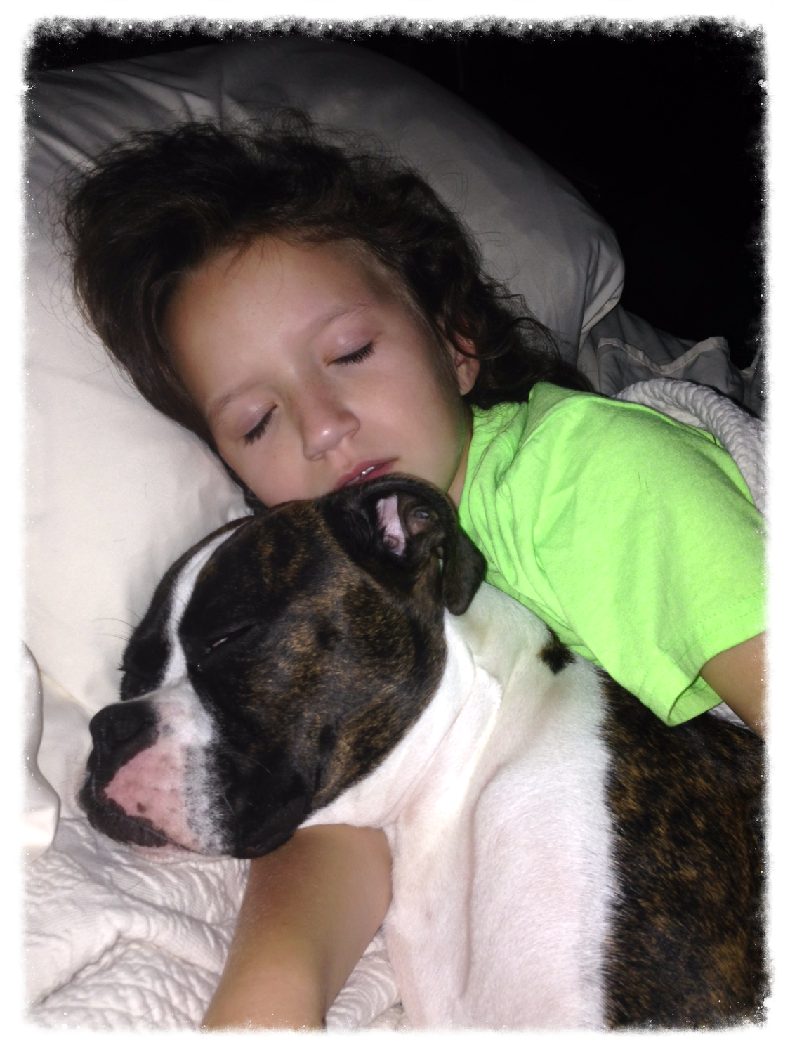 Boxers make the best cuddlers