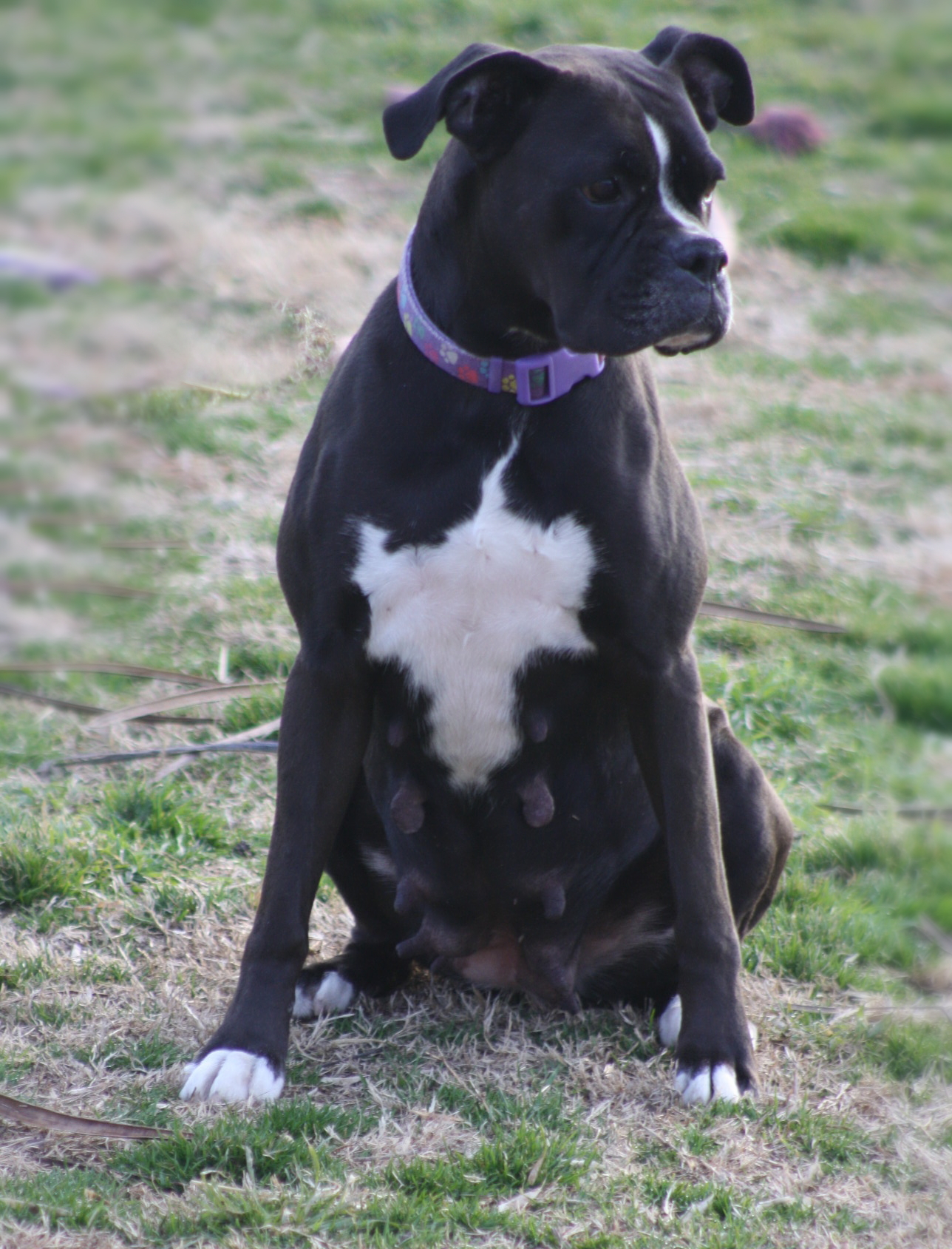 Mimi in the exercise yard