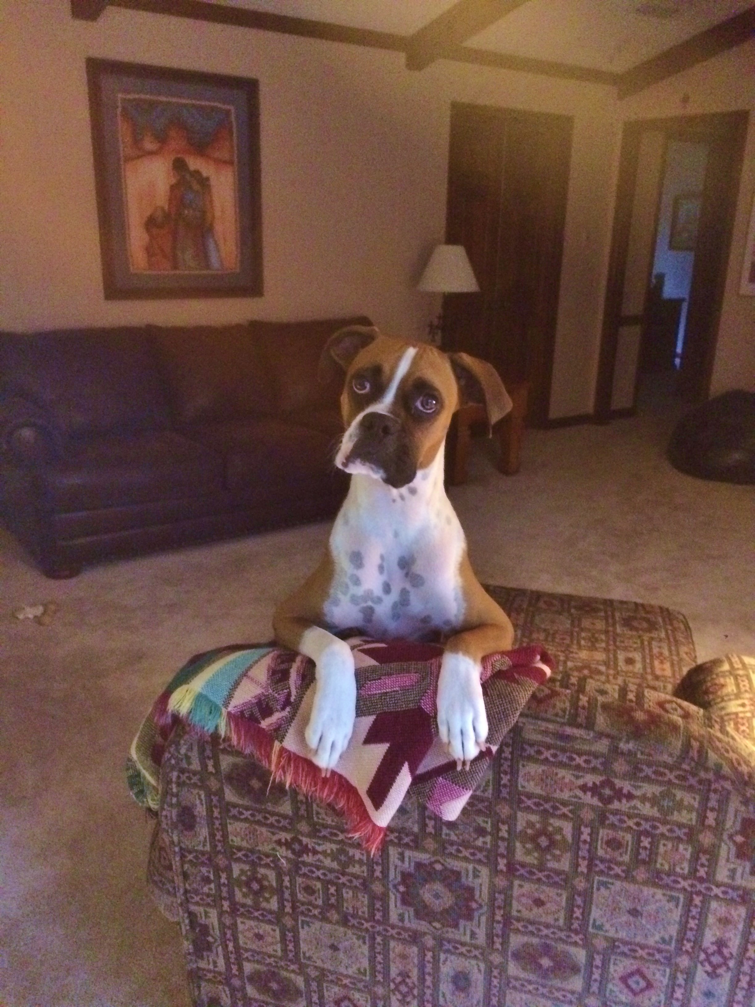 Max a year and a half