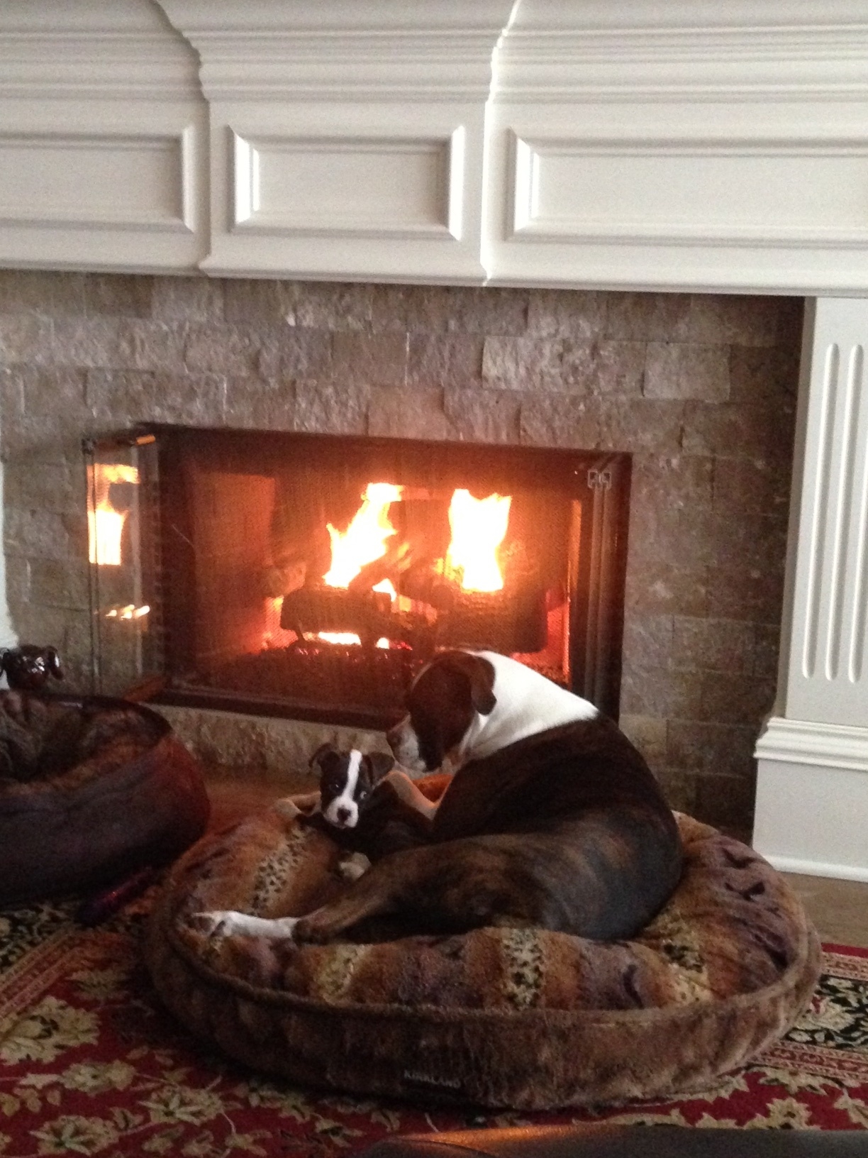 Finlie and her big buddy