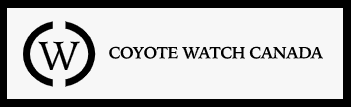 coyote-watch.gif