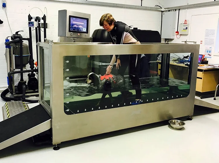 Hydro Treadmill modified.webp