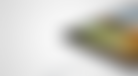 To Charge Or Not To Charge...That Is The Question.