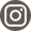 Instagram icon_Sienna