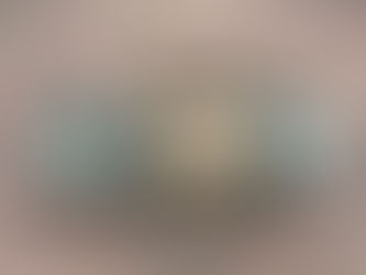 Full-Size Chest Rigs