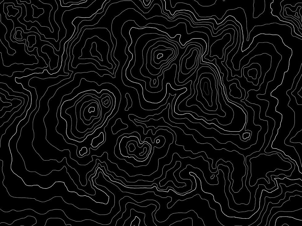 topo background (1).png