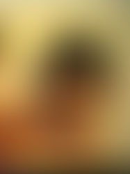 New - thai - bumper assortment