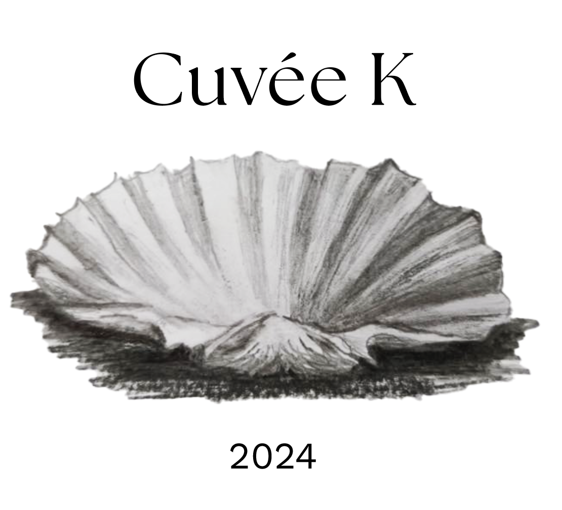 Skærmbillede 2025-04-06 kl. 13.59.49.png
