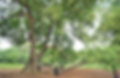 img-1.png