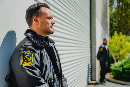 Security guard overseeing access control systems at a high-security facility