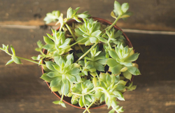 能用钱解决的事情千万不要欠人情