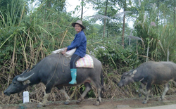 做一个有故事而不世故的人