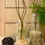 Thumbnail: Glass Dome Reed Diffuser - Clear