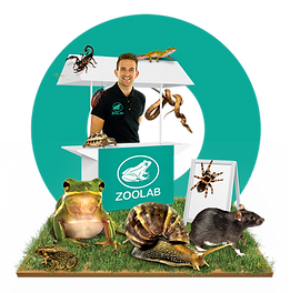 Hero image for Corporate, featuring a ZooLab ranger at a stall, surrounded by animals