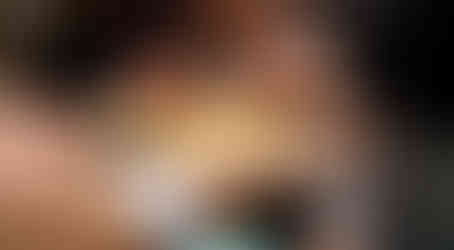 Yellow gecko being held and petted