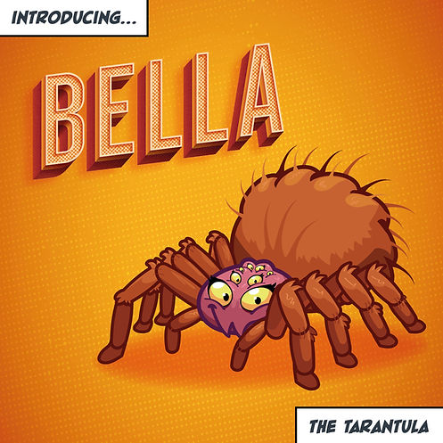 Bella the Chilean rose tarantula in front of an orange backdrop and a title card that reads "BELLA".