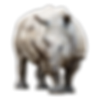 A Rhinoceros.