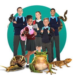 Hero image for education featuring school children surrounded by ZooLab animals.