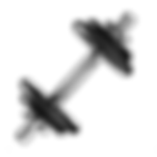 Dumbbells.