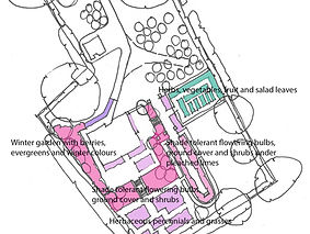 LHLA Ornamental Planting West Meadow