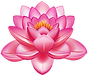 Lotus-Flower.png